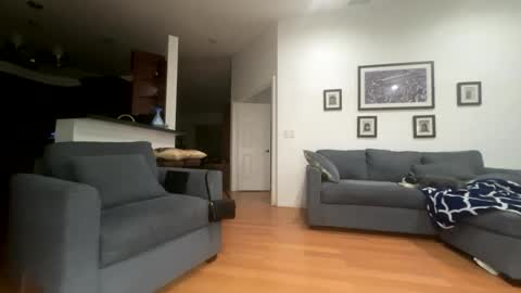 Santana online show from February 21, 6:03 am