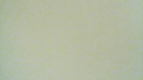 Snapshot of santiagodeamor7077 chatting on August 4, 4:15 am santiagodeamor7077 online show from August 4, 4:15 am