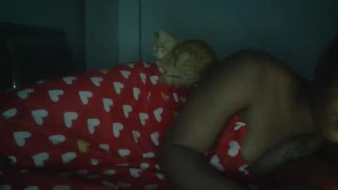 sapgaal online show from January 17, 2:49 am