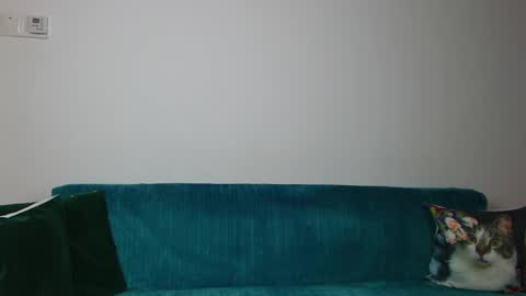 Snapshot of sara_daisy chatting on April 30, 6:09 am Im Sara I am happy to be here online show from April 30, 6:09 am