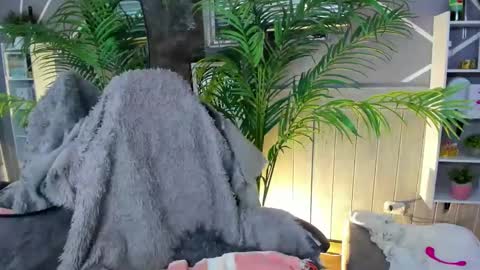 Snapshot of saraandsofi02 chatting on December 31, 9:42 am sofia gomez420 online show from December 31, 9:42 am