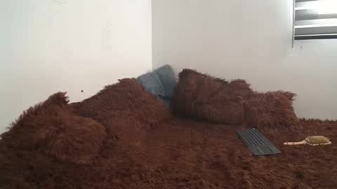 Snapshot of saraandthomas chatting on January 10, 9:10 pm sara and thomas online show from January 10, 9:10 pm