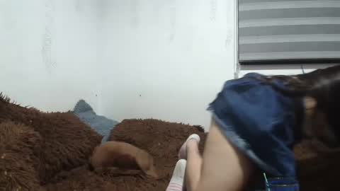 Snapshot of saraandthomas chatting on January 12, 2:24 am sara and thomas online show from January 12, 2:24 am