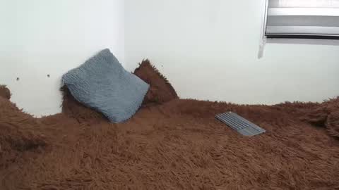 Snapshot of saraandthomas chatting on February 26, 9:27 pm sara and thomas online show from February 26, 9:27 pm