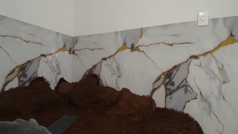 sara and thomas online show from November 26, 12:00 am