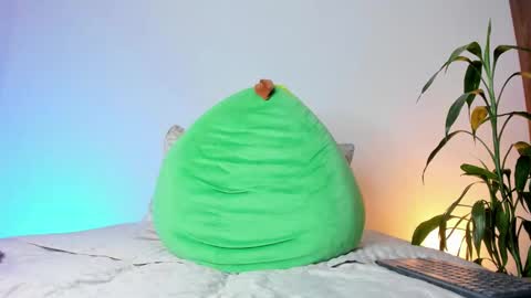     online show from November 14, 8:35 am