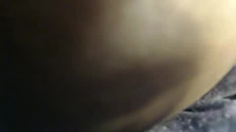 Snapshot of sauce_pety chatting on February 3, 7:41 pm pety online show from February 3, 7:41 pm