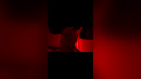 Snapshot of sbsesh chatting on February 14, 12:02 pm sbsesh online show from February 14, 12:02 pm