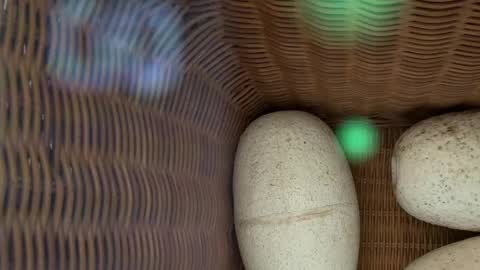 scarlajade online show from May 15, 2:51 am