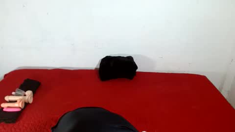 Snapshot of scarletfox__03 chatting on February 11, 5:12 am Scarletfox Fox online show from February 11, 5:12 am