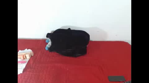 Snapshot of scarletfox__03 chatting on February 12, 7:31 pm Scarletfox Fox online show from February 12, 7:31 pm