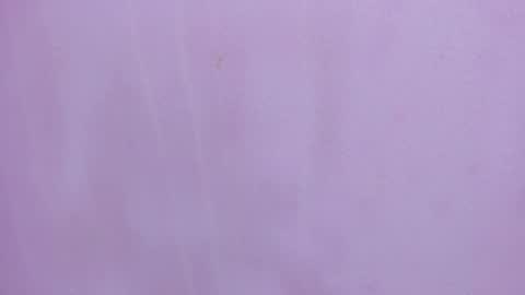 Scarlett 3 online show from February 28, 3:18 am