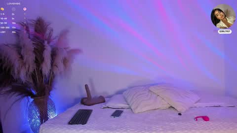 Snapshot of scarlett_keitt chatting on February 10, 11:03 am scarlet online show from February 10, 11:03 am