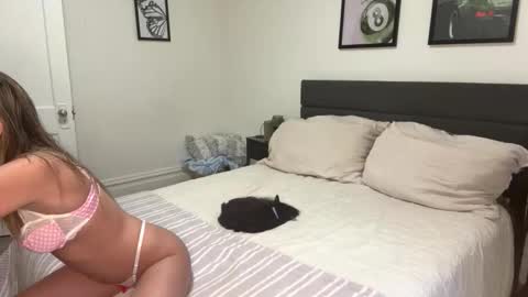 Snapshot of scarletterose_504259 chatting on February 25, 9:46 pm Scarlett online show from February 25, 9:46 pm