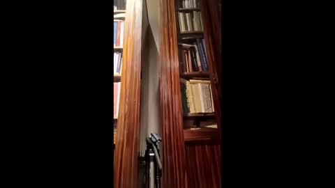 schlosser77 online show from March 6, 4:36 pm