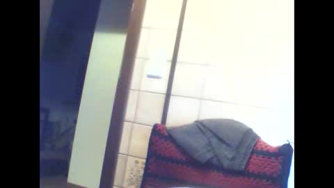 schnibschnab online show from December 23, 1:36 am