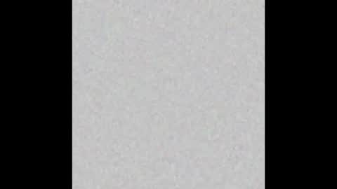 Scolw  online show from December 16, 11:59 am