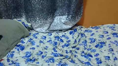 Its Lilly online show from January 24, 3:11 am