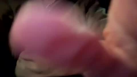 Snapshot of scotsmanx chatting on May 8, 1:22 am scotsmanx online show from May 8, 1:22 am