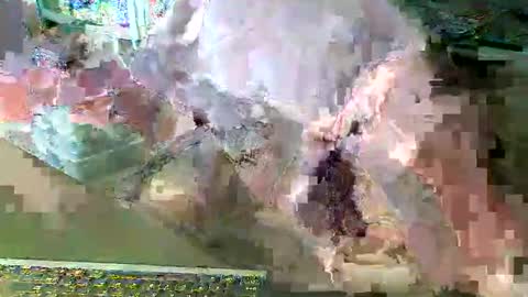 Snapshot of scotthard chatting on March 14, 6:57 pm scotthard online show from March 14, 6:57 pm