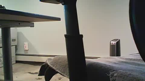 Snapshot of scottie813 chatting on December 12, 8:32 pm scottie813 online show from December 12, 8:32 pm