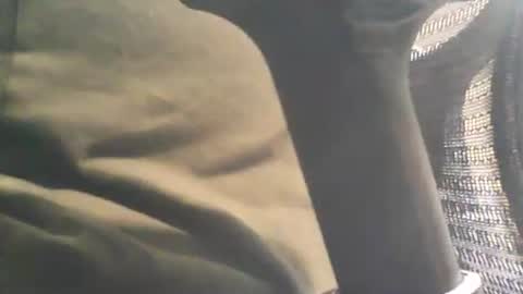 scottie813 online show from October 26, 3:07 pm