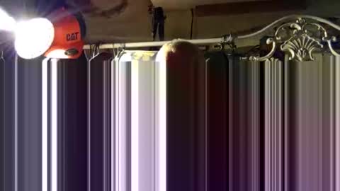 Snapshot of scoutiii chatting on October 15, 11:43 am scoutiii online show from October 15, 11:43 am