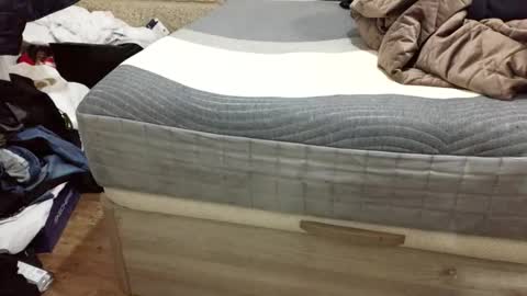 Snapshot of scubi007 chatting on November 2, 10:12 pm scubi007 online show from November 2, 10:12 pm