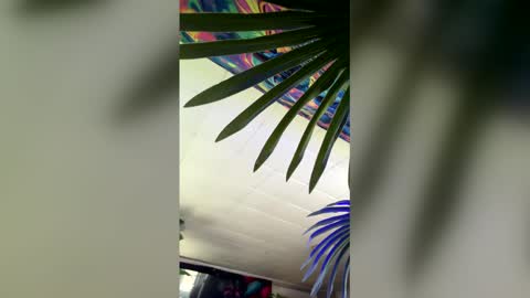 seanplushouse online show from February 28, 7:48 pm