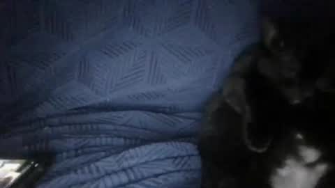 Sunny online show from March 18, 5:27 pm