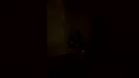 Snapshot of secret_siren_goddess chatting on June 2, 3:52 am secret_siren_goddess online show from June 2, 3:52 am
