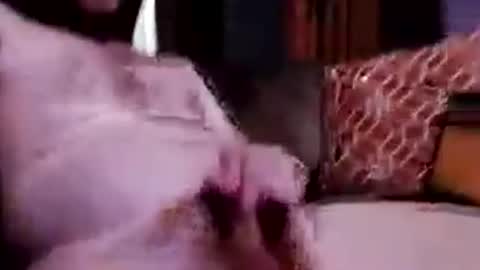 Chris my ass online show from June 26, 1:10 am