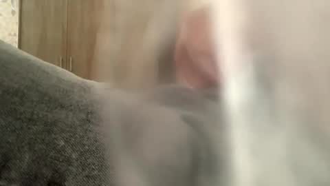 serpenttiin online show from September 23, 7:55 am