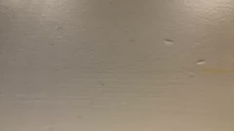 sexislitpuss69 online show from January 1, 11:40 pm