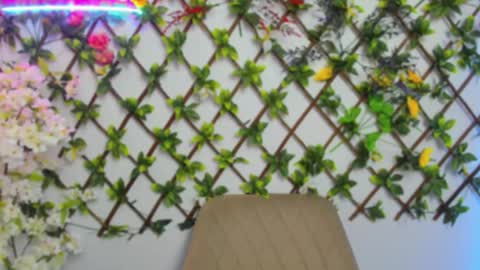 Lily online show from March 26, 3:56 am