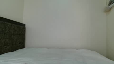 Shasha Money online show from November 10, 12:15 pm