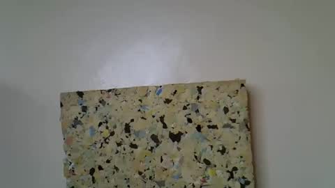 Molyne online show from April 16, 1:45 pm