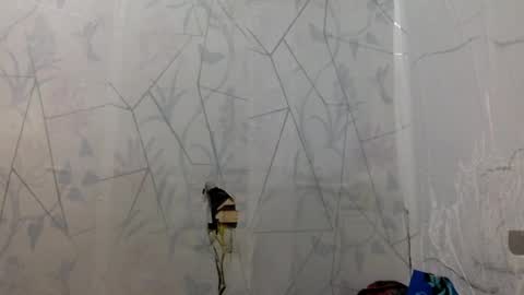 miss jade so online show from April 15, 11:50 am