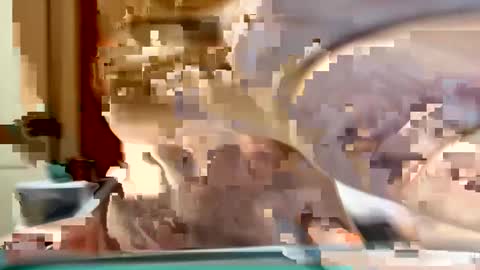 sexyy_red08 online show from November 2, 6:49 am