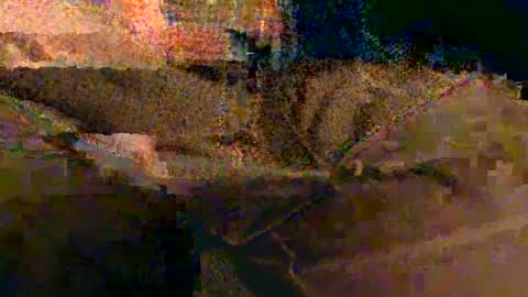 shapelyhelm1 online show from February 14, 8:10 am