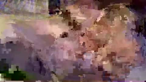 shapelyhelm1 online show from February 21, 10:39 am