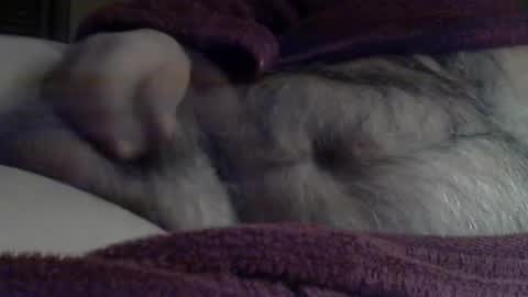 Sharkey644 online show from March 3, 9:04 am