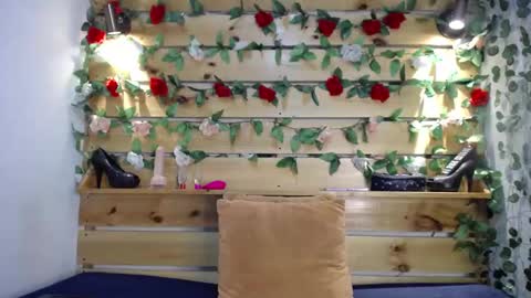 Snapshot of sharol_heart_ chatting on February 14, 3:00 am Sharol online show from February 14, 3:00 am