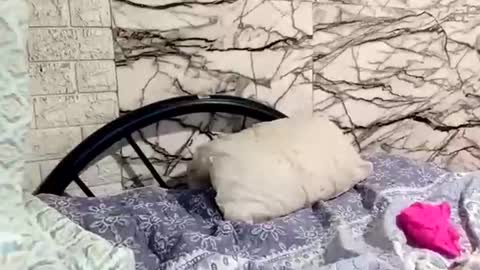 shayka09 online show from March 23, 5:44 am