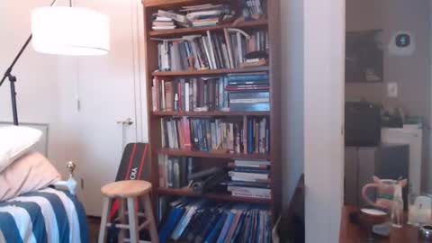 sheepishlion online show from December 7, 1:51 pm