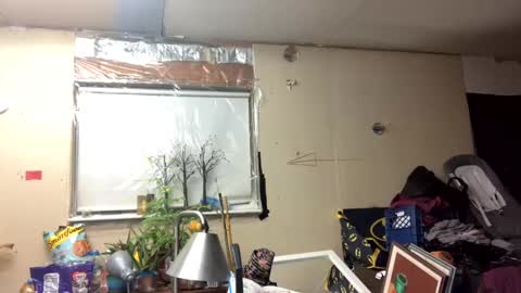 Snapshot of shelbybaby01 chatting on March 10, 11:42 am Shelby holes online show from March 10, 11:42 am