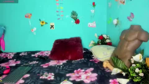 Shera Hade online show from March 8, 2:04 am