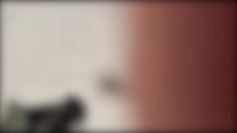 shifted1 online show from January 1, 11:18 pm