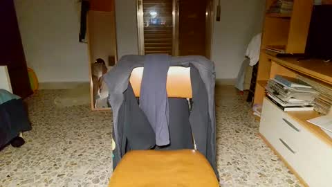 shinikari online show from December 1, 4:40 pm