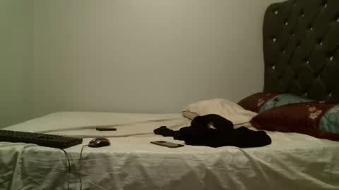 Snapshot of shiro254 chatting on October 26, 8:04 pm Shi-ro online show from October 26, 8:04 pm